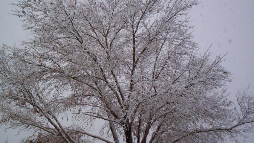 tormenta-nieve-eeuu-martes