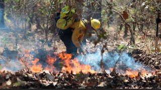 Bombero sofoca un incendio forestal