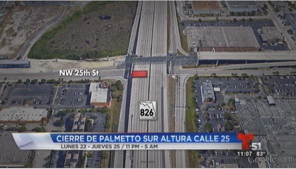 palmetto826