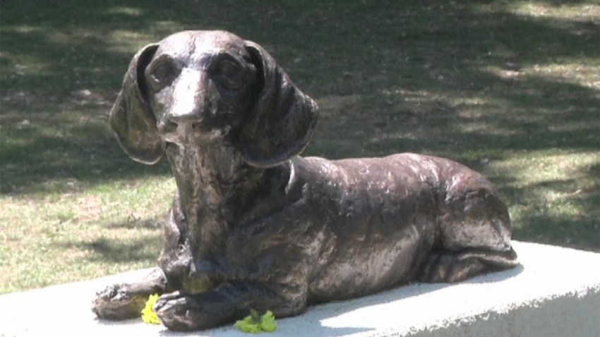perro-monumento-serbia