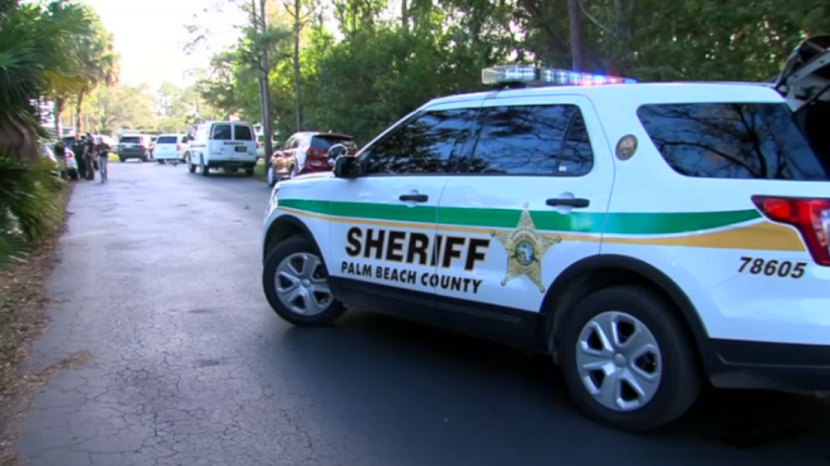 Arrestan sospechoso de chocar con un auto a un oficial de policía –  Telemundo Miami (51)