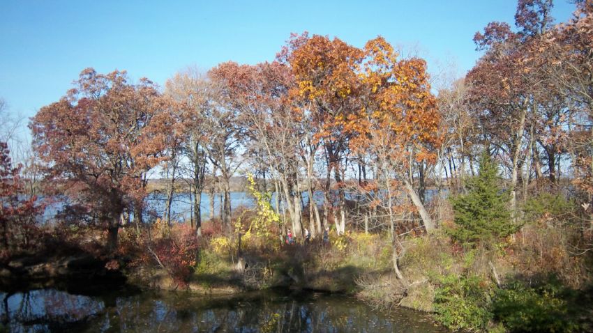 starved rock il