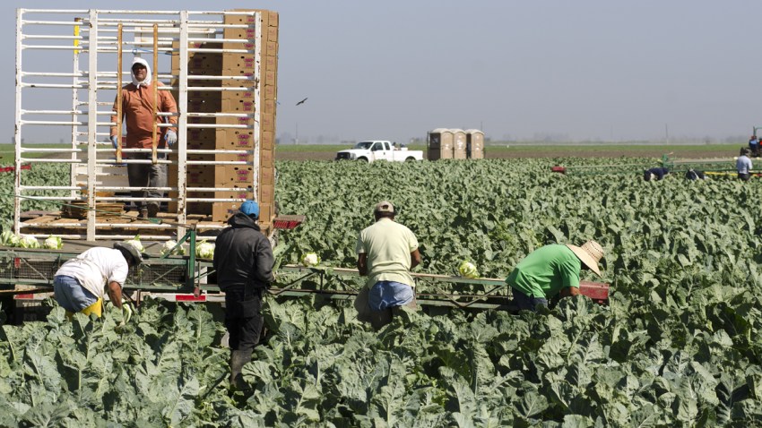 trabajadores-migrantes-agri