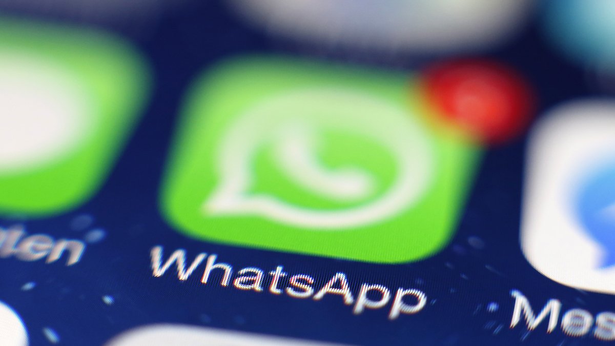 WhatsApp cierra vacío de privacidad: permitirá usar nombres de usuario