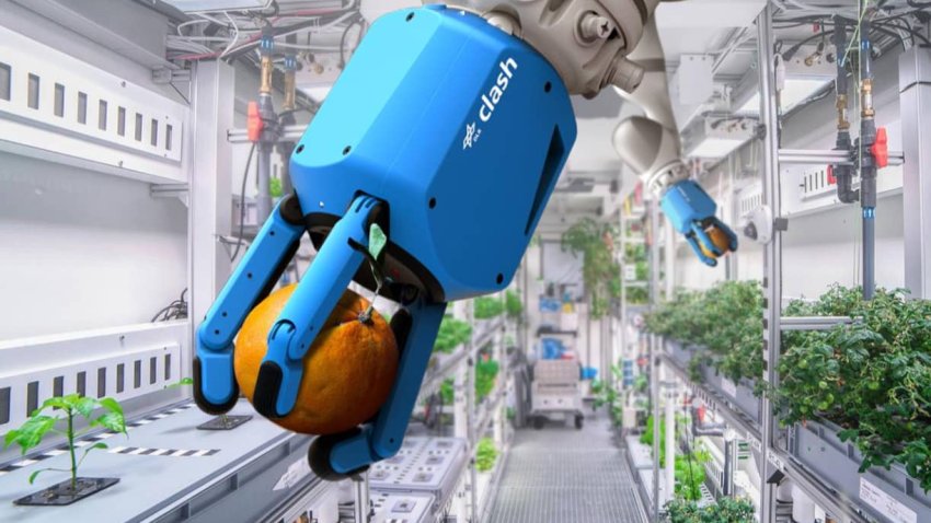 The German Aerospace Center (DLR) is among space agencies working on automated and AI farming techniques for the coming era of interplanetary human colonies.