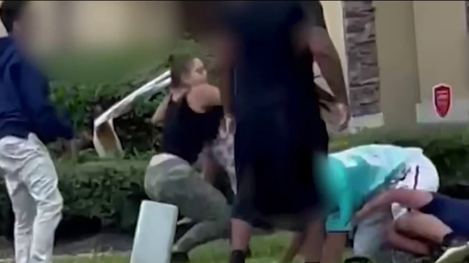 peleas en escuelas peleas en escuelas