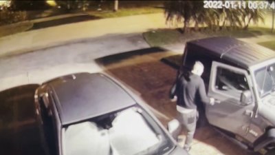 Mujer denuncia robo en su auto en Miami Shores