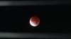 Eclipse total de luna: ¿podrá verse desde el sur de Florida?