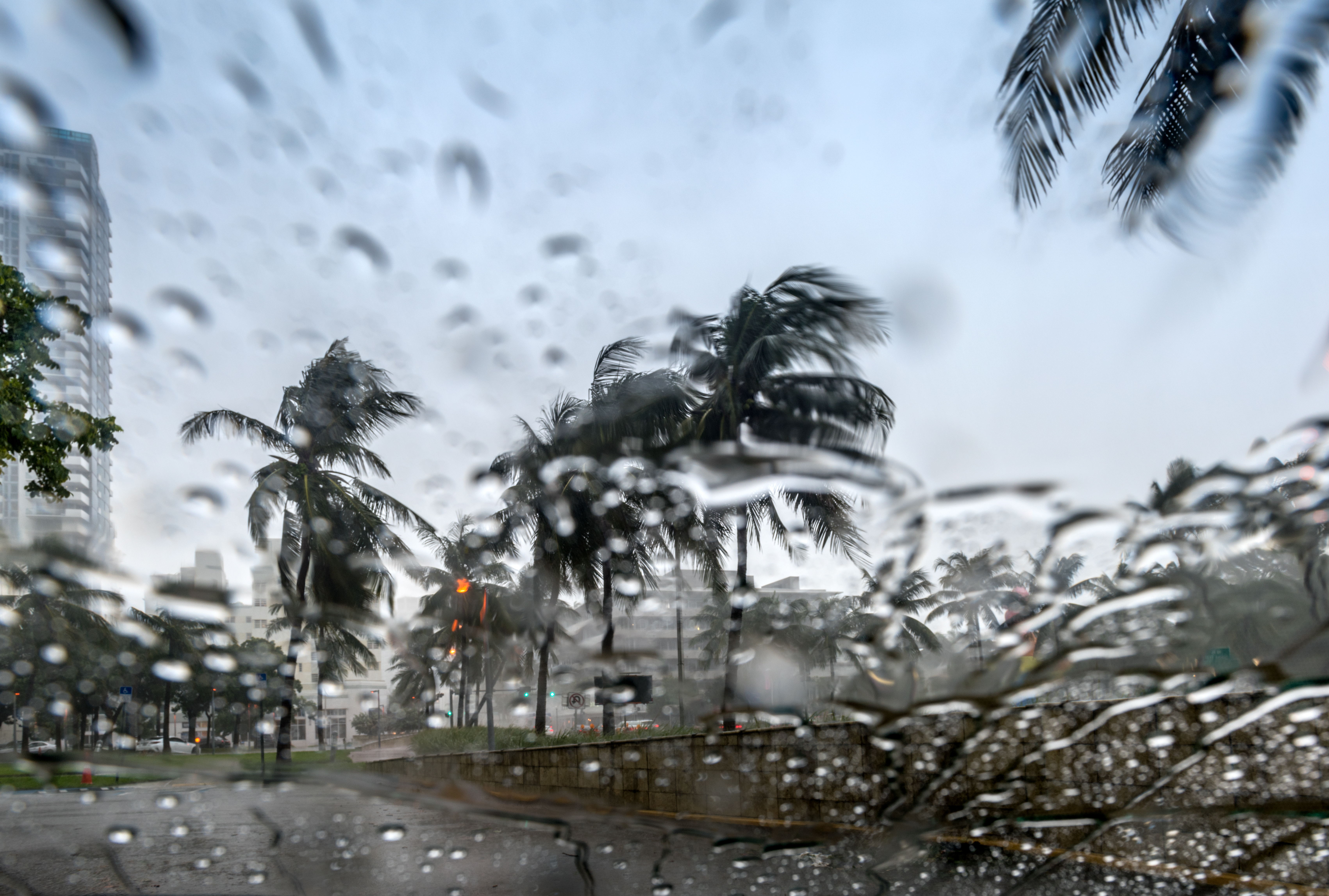 La temporada de huracanes del 2022 podría tener 19 tormentas con nombre,  según equipo meteorológico de la Universidad Estatal de Colorado – Orlando  Sentinel