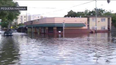 Inundaciones en el sur de la Florida – Telemundo Miami (51) Inundaciones en el sur de la Florida – Telemundo Miami (51)
