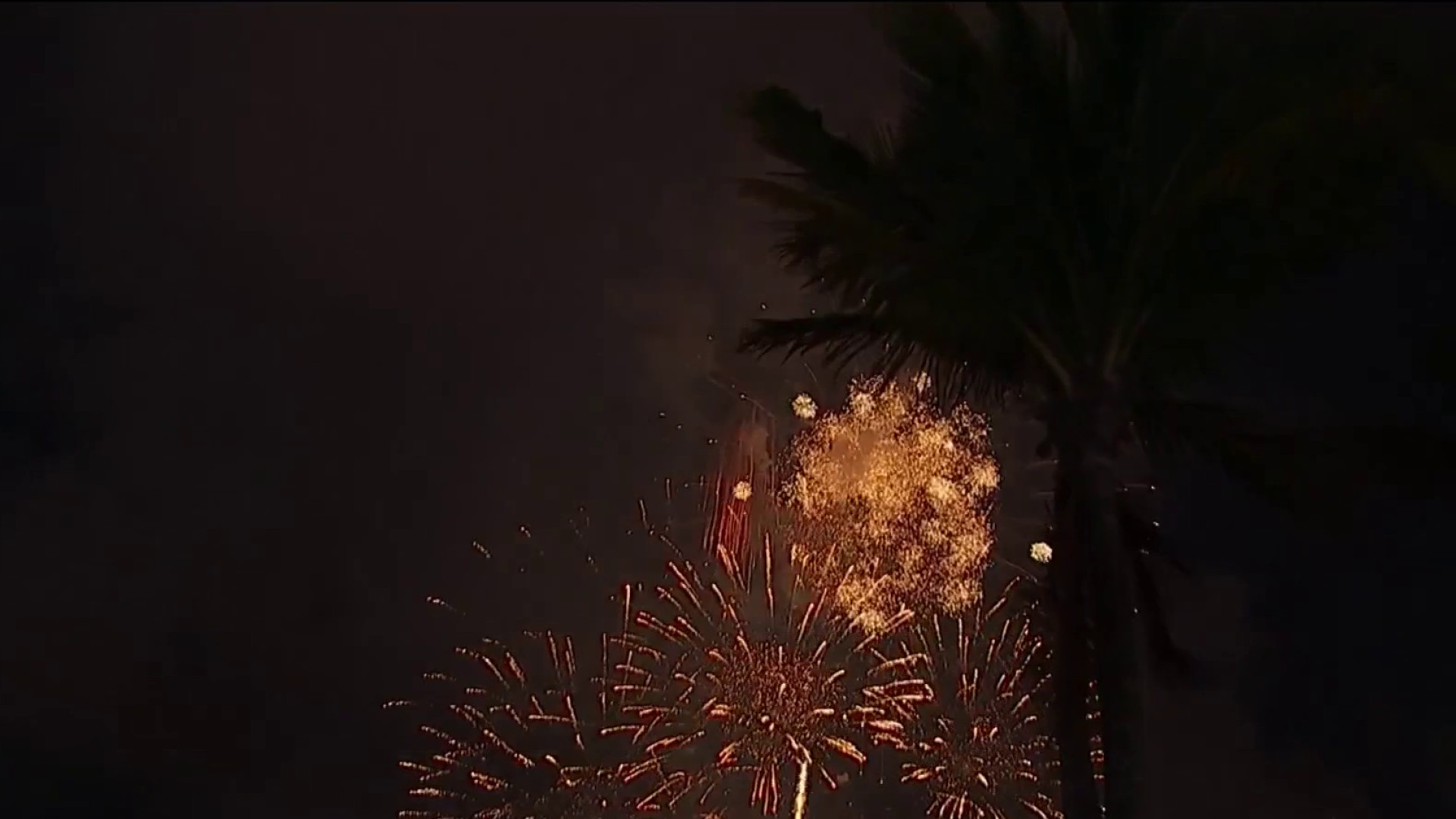 El sur de la Florida celebra el día de la Independencia – Telemundo Miami (51) El sur de la Florida celebra el día de la Independencia – Telemundo Miami (51)
