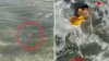 Captado en video: un dron le salva la vida a niños que se ahogaban