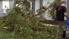 Tornados provocaron daños en casas, árboles y avionetas en el sur de Florida