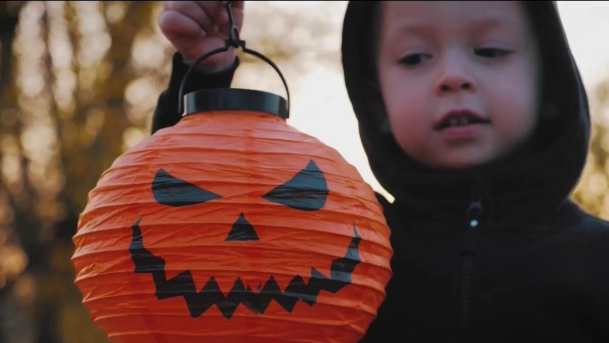 Diviértete Gratis Celebra Halloween y El día de los muertos con toda