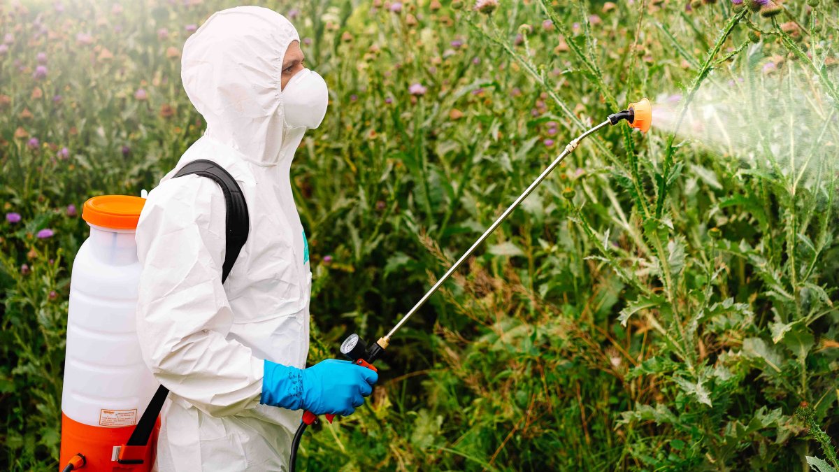 Así es el glifosato, el «cancerígeno» herbicida más usado del mundo