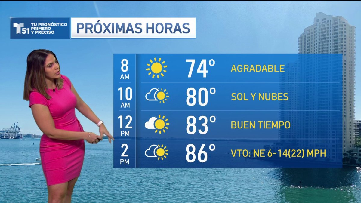 Pronóstico del tiempo en Miami, Florida Telemundo Miami (51)