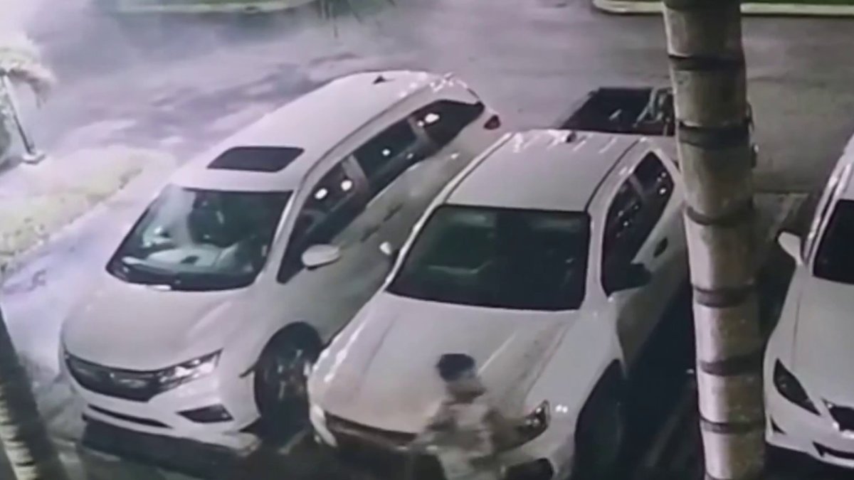 Car theft filmed in South Florida neighborhood