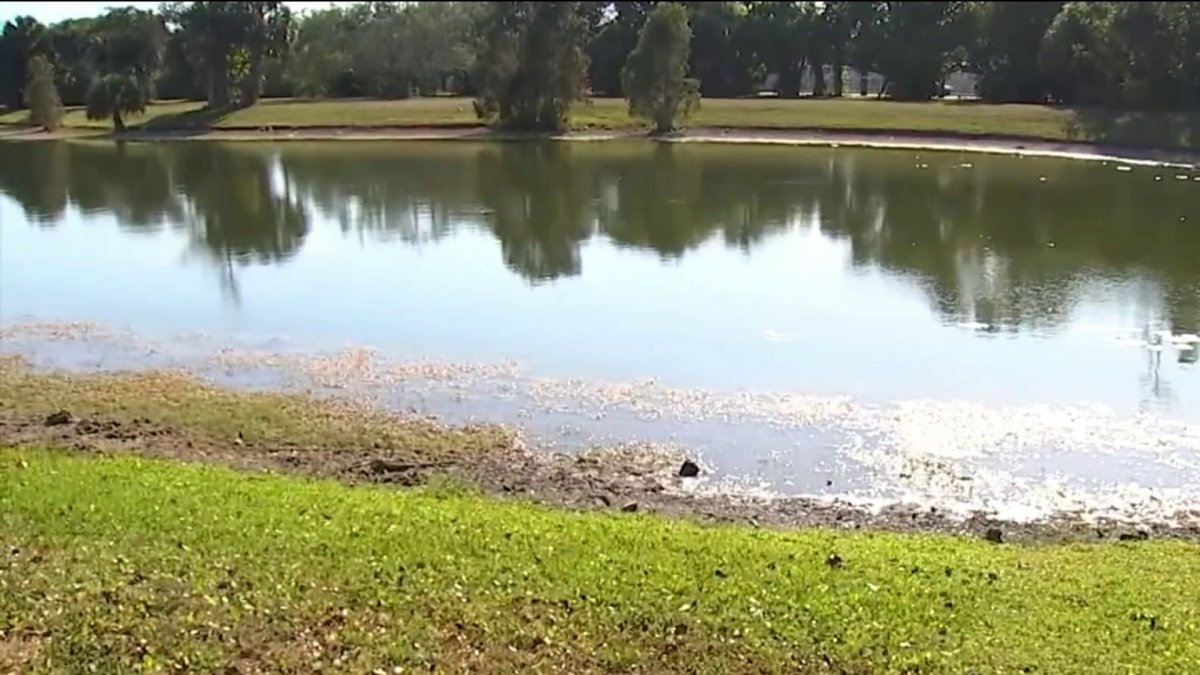 They find a body floating in the canal of a private neighborhood in South Florida