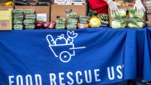 South Florida is rallying against food waste and helping those experiencing food insecurity 1 a45c2533775fd2e6c4be10f02d6f8265312b9af4 1