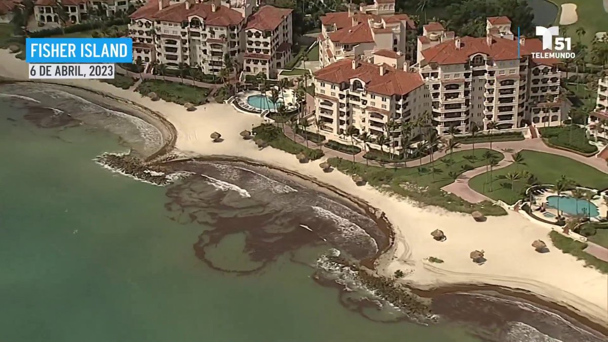 AERIAL IMAGES: Here’s how sargassum began to affect South Florida beaches