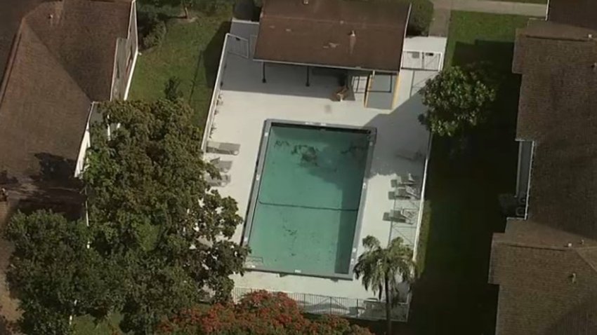 Police said a dog was intentionally drowned in this community pool in Pembroke Pines.