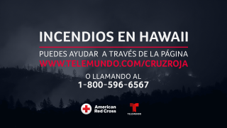 Puedes ayudar a través de la Cruz Roja.