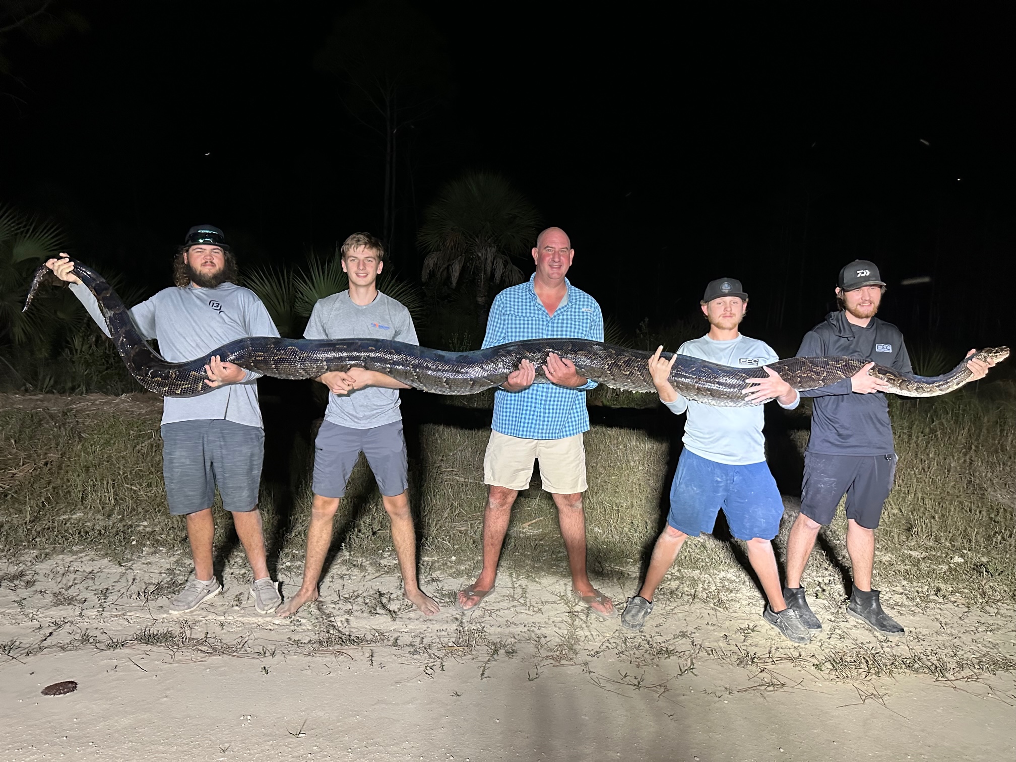 En imágenes: Pitón de 198 libras es capturada en parque de Florida
