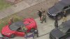 Dos detenidos tras persecución de un Corvette rojo en el sur de Florida