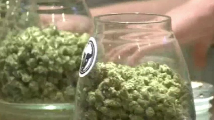 Enmienda sobre el uso de la marihuana también estará en la boleta electoral