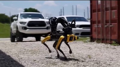 Un perro robot es el nuevo recluta de la policía de Miami Dade
