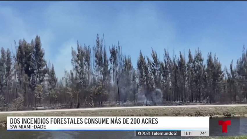 Dos incendios forestales contenidos