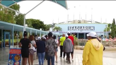 Miami Seaquarium demanda al condado Miami-Dade