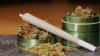Debate sobre la marihuana en Hialeah: Propuesta de prohibición genera controversia