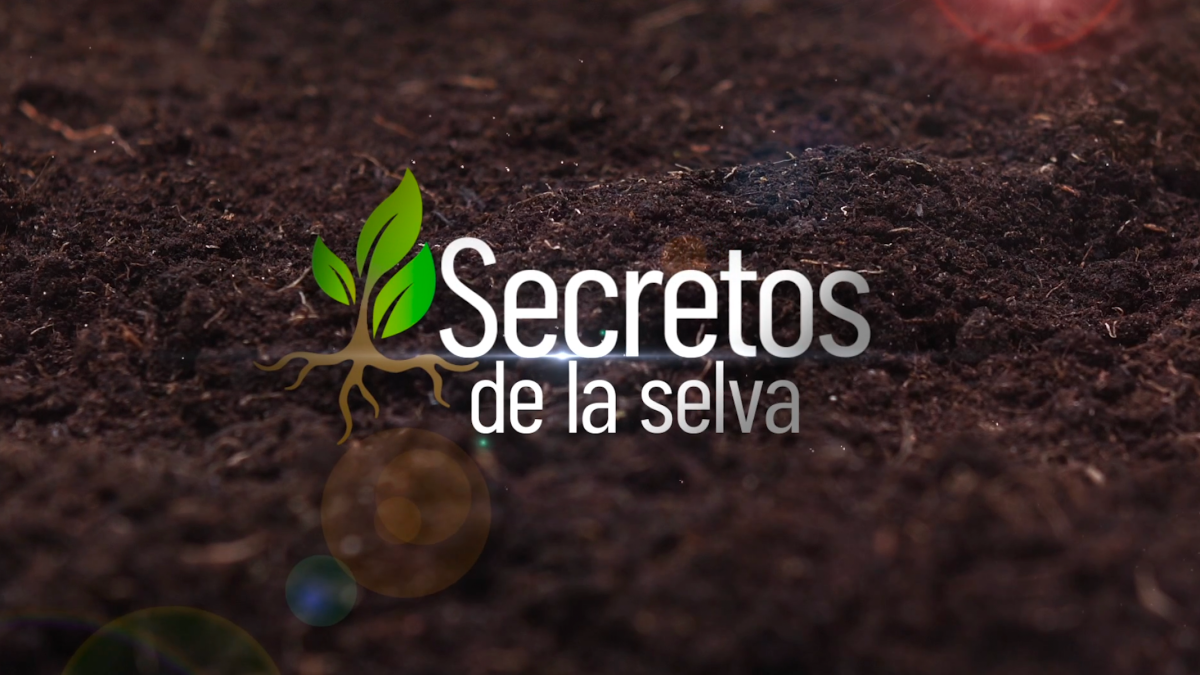 Secretos de la selva el documental Telemundo Miami (51)