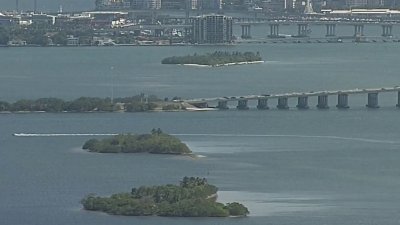 Miami cierra cuatro islas para combatir la contaminación