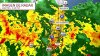 Emiten avisoss de inundaciones repentinas para sectores de Miami-Dade y Broward