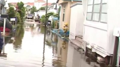 En Hollywood, varias casas y calles quedaron afectadas por las inundaciones