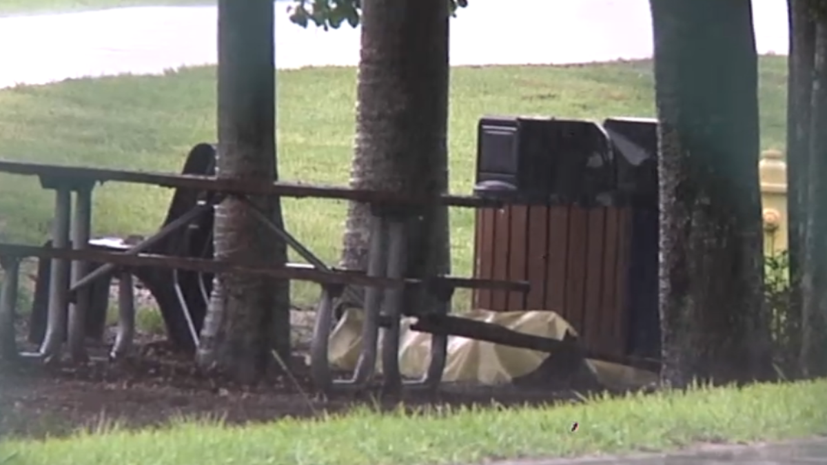 Hombre muere tras ser alcanzado por un rayo en un parque de Davie ...