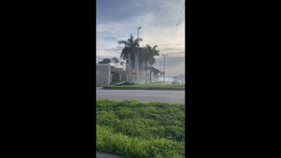 Captada en video una persecución policial en calles de Miami
