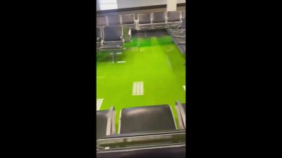 Green fluid pours onto Concourse G at Miami International Airport