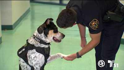 De un refugio a trabajar en la policía