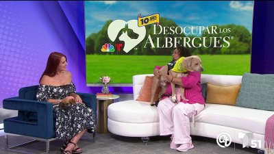 Desocupar los Albergues en Miami-Dade