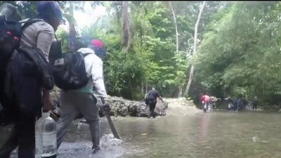 Más de 244 mil migrantes han cruzado por la Selva de Darién