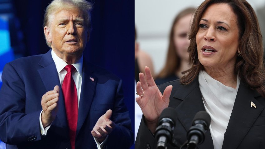 Harris y Trump pelean por siete estados clave sin claros márgenes en las encuestas