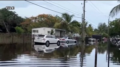 Residentes del sur de Florida se preparan para la llegada de la tormenta tropical Milton  