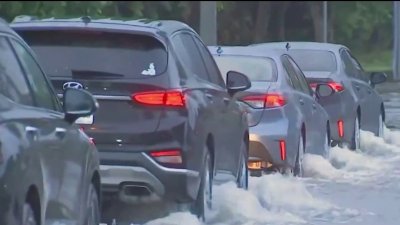 Autoridades toman precauciones en el sur de Florida