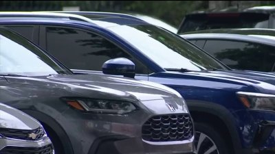 Arrestan a sospechoso de vandalizar 19 autos en Miami