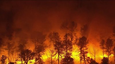 Múltiples incendios forestales en Nueva Jersey