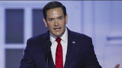 Trump podría elegir a Marco Rubio como Secretario de Estado