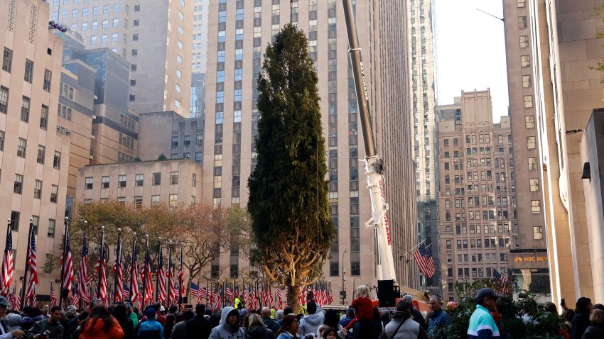 Rockefeller Center Christmas tree